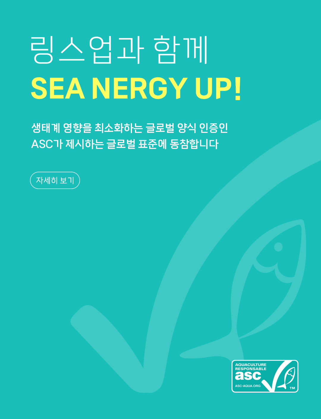 링스업과 함께 ASC