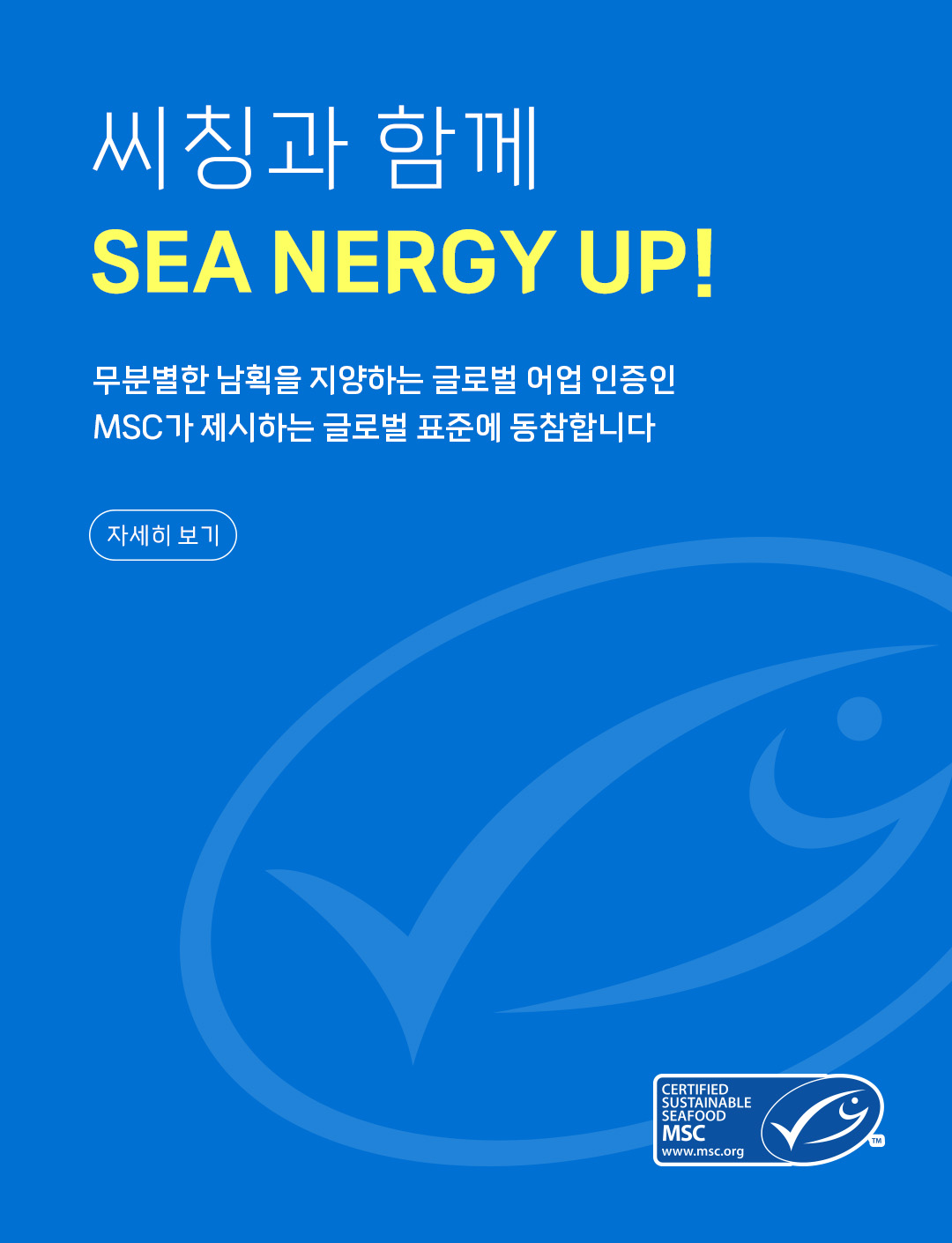 씨칭과 함께 MSC