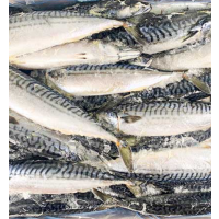 [MRO] C****이 전용 결제창 / 고등어 노르웨이